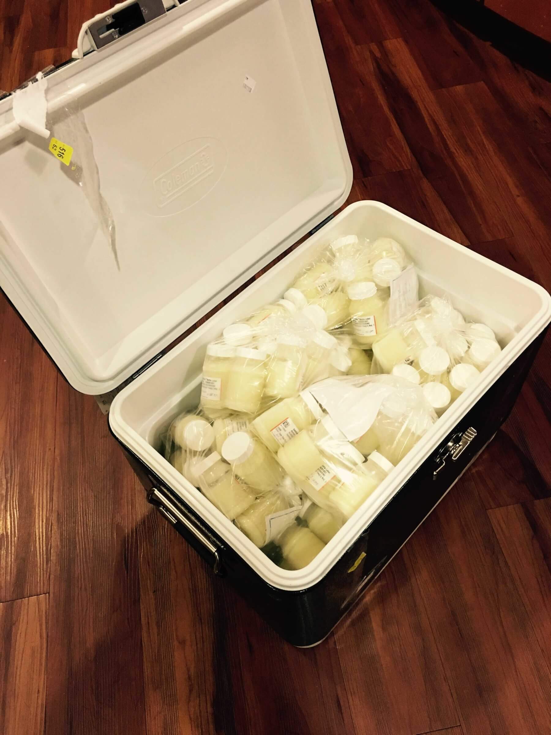 Cooler full of pumped breastmilk