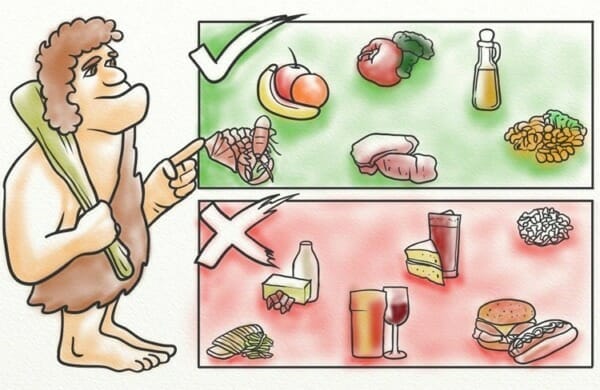 The Paleo Diet