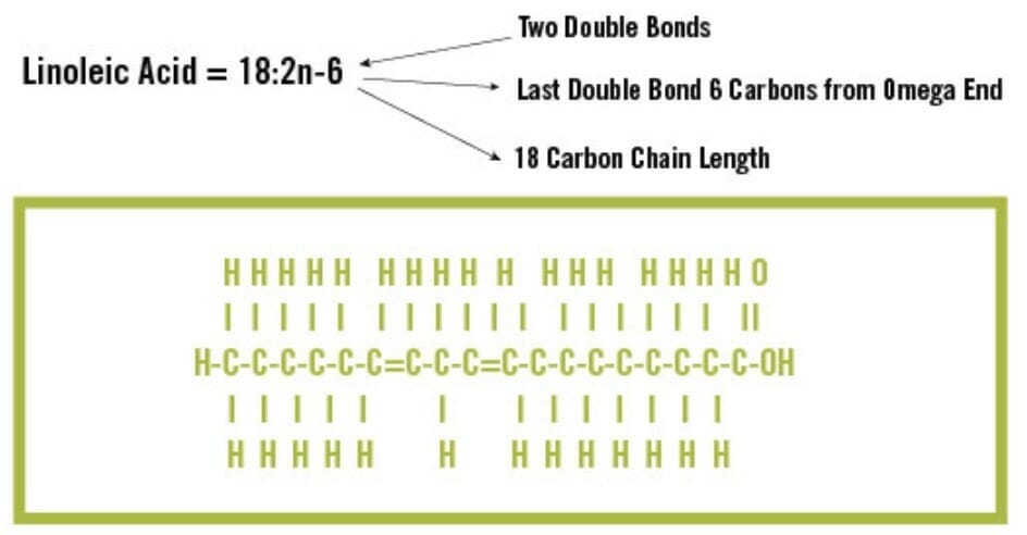 Molecular structure of Polyunsaturated fatty acid