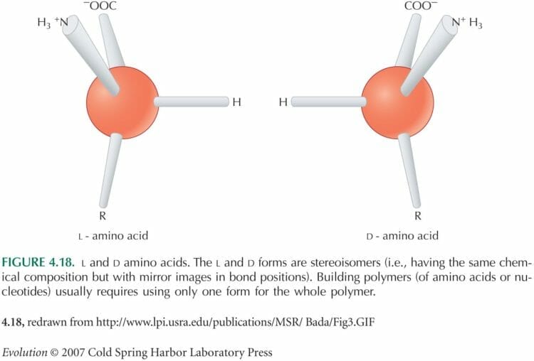 D vs L aminokwasy