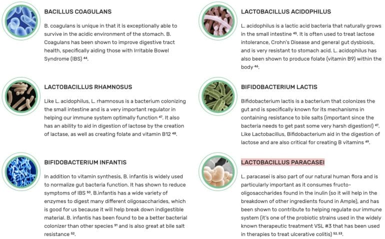 Probiotics Blend in Ample Meal