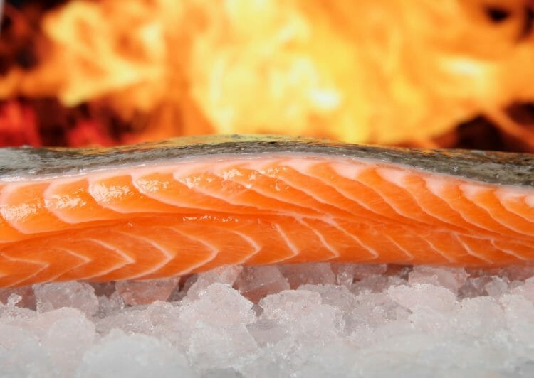 Salmon is an excellent source of Omega-3 Fatty Acids