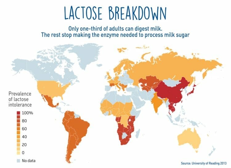 Lactose Intolerance Worldwide