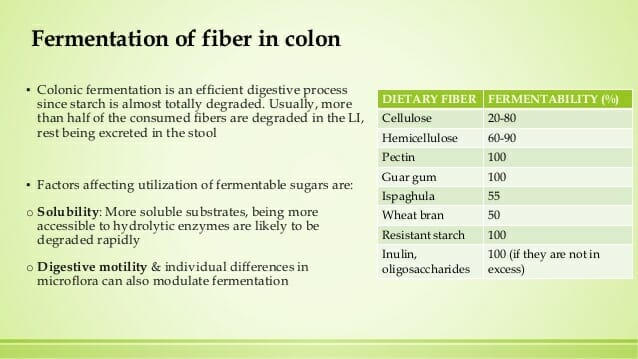 Fermentation of fiber in the colon