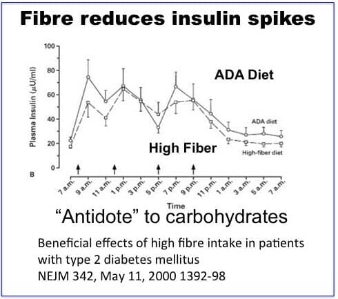 Fiber can reduce insulin spikes