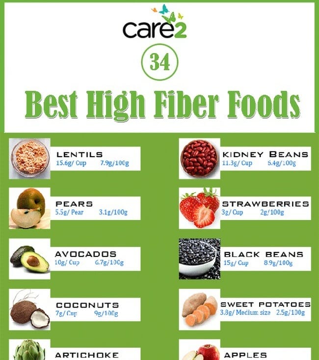 no fiber foods list
