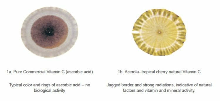 Synthetic vs. Natural Vitamin C