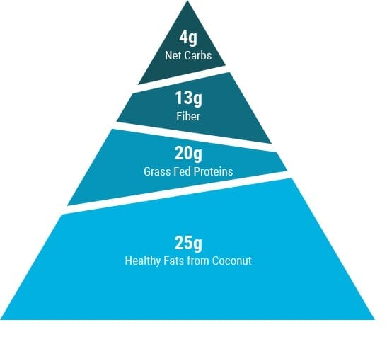 Bear macronutrient pyramid
