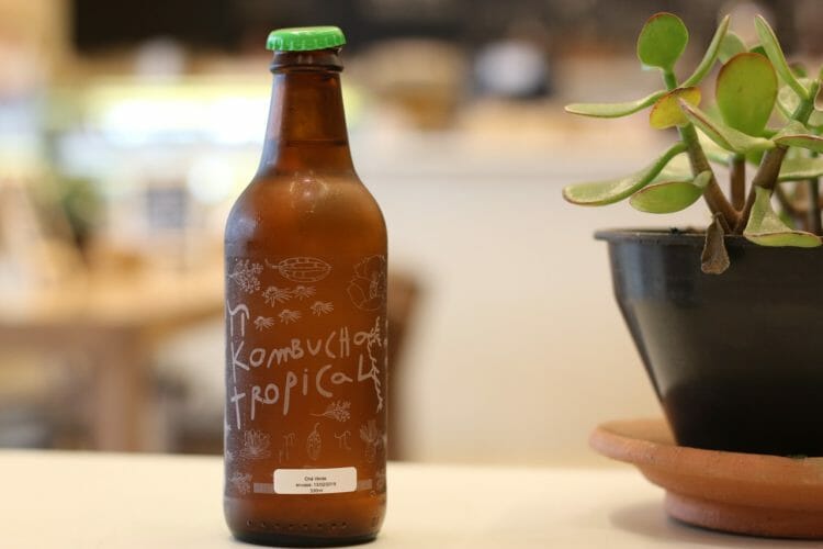 Fermented drinks have a lot of probiotics