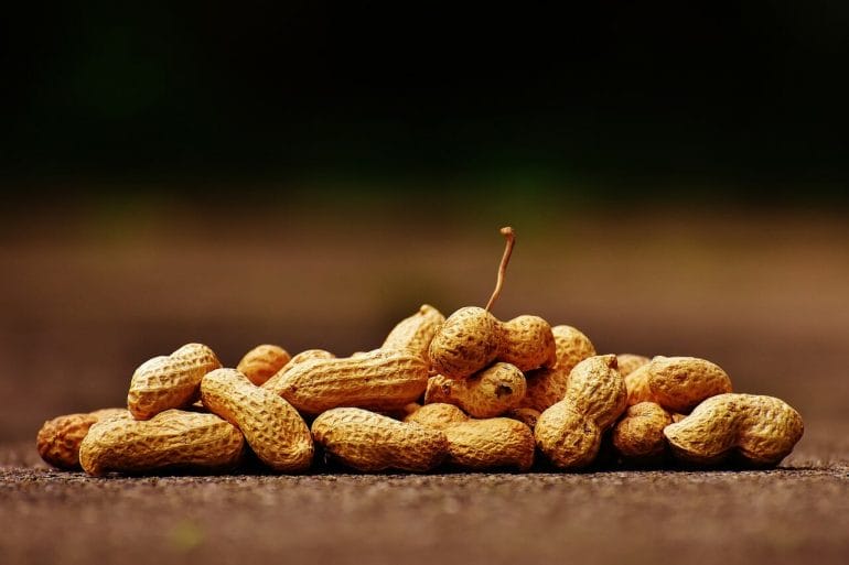 Peanuts are legums and have anti-nutrients