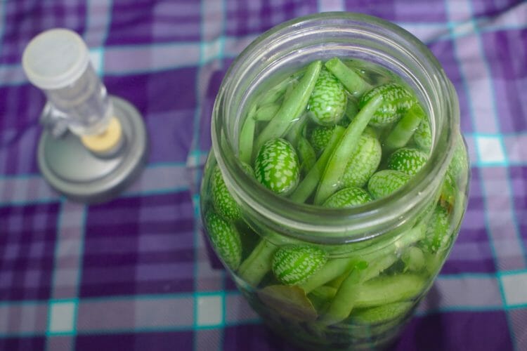 Fermenting food can remove some antinutrients