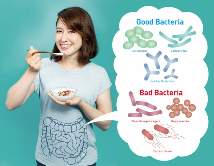 Good vs. Bad Bacteria - Help Your Body to Maintain The Balance