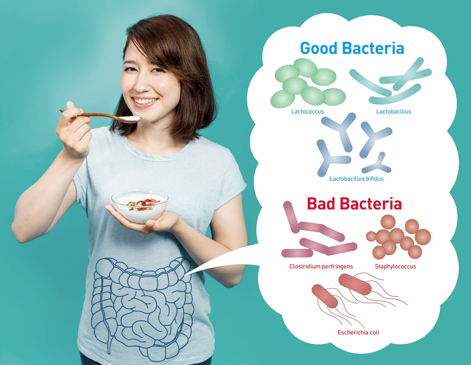 Why Your Gut Bacteria Hold The Key to Your Health