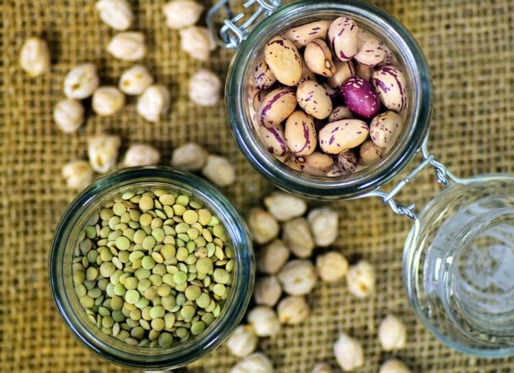 Many raw beans are toxic due to high antinutrient concentrations