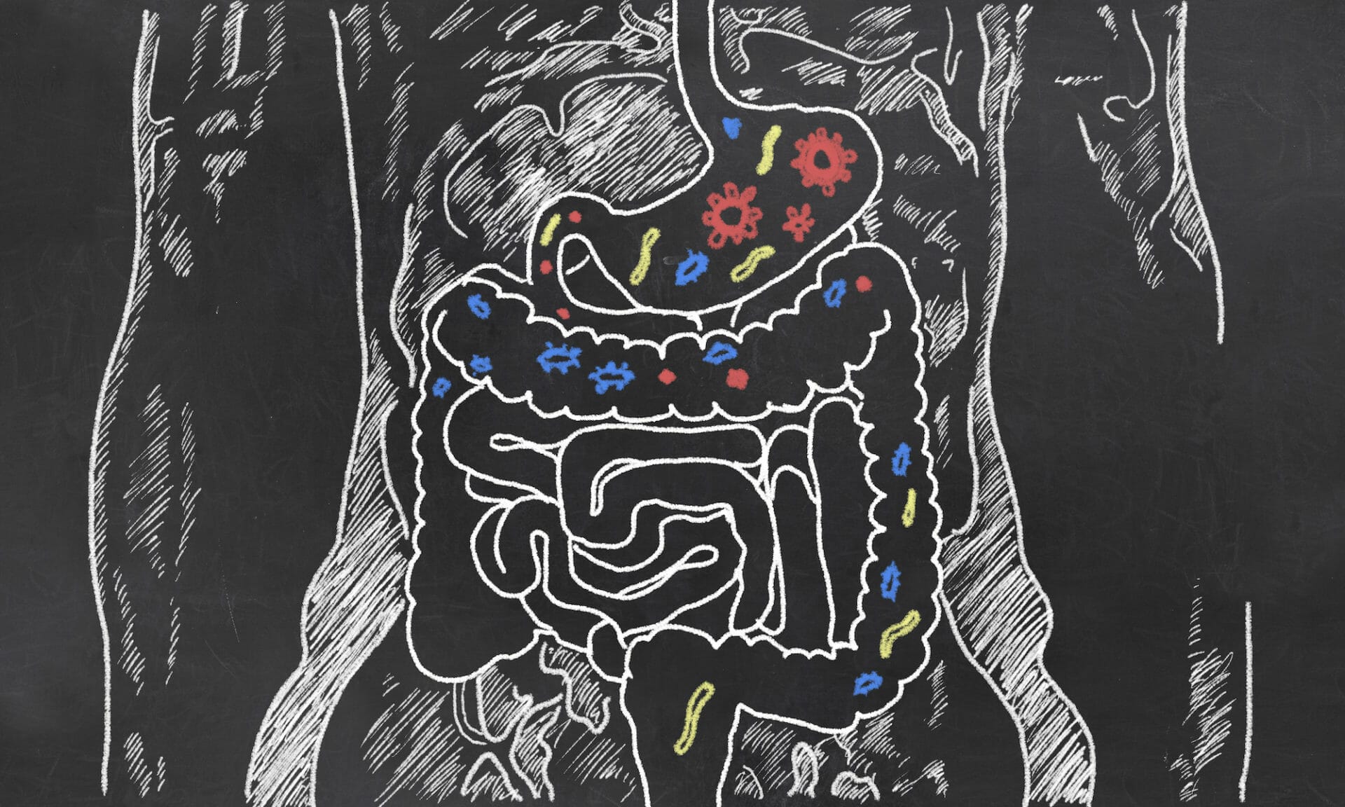 Microbiome - The Connection Between Diet, Disease, and Your Gut
