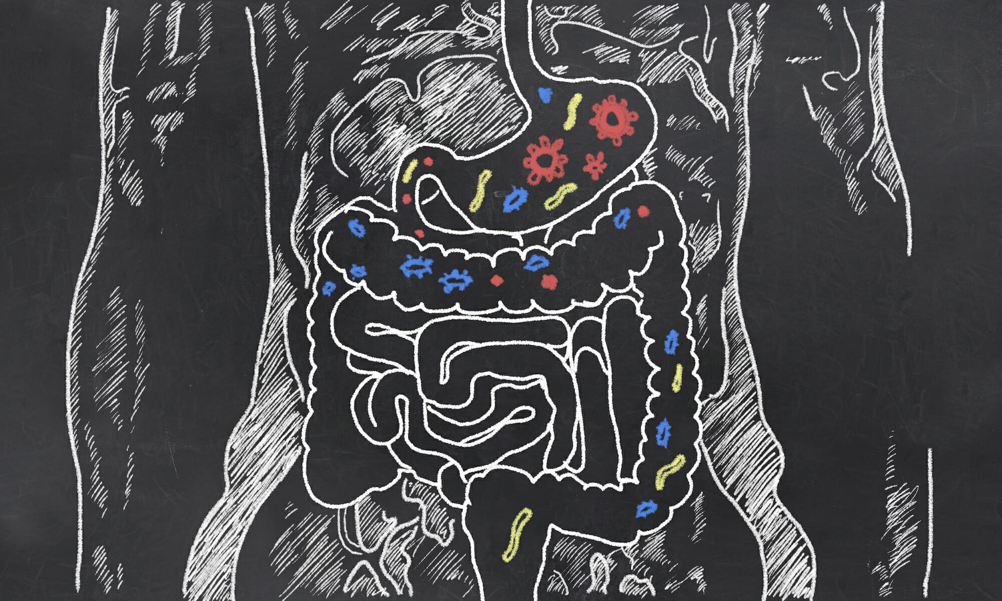 Microbiome - The Connection Between Diet, Disease, and Your Gut