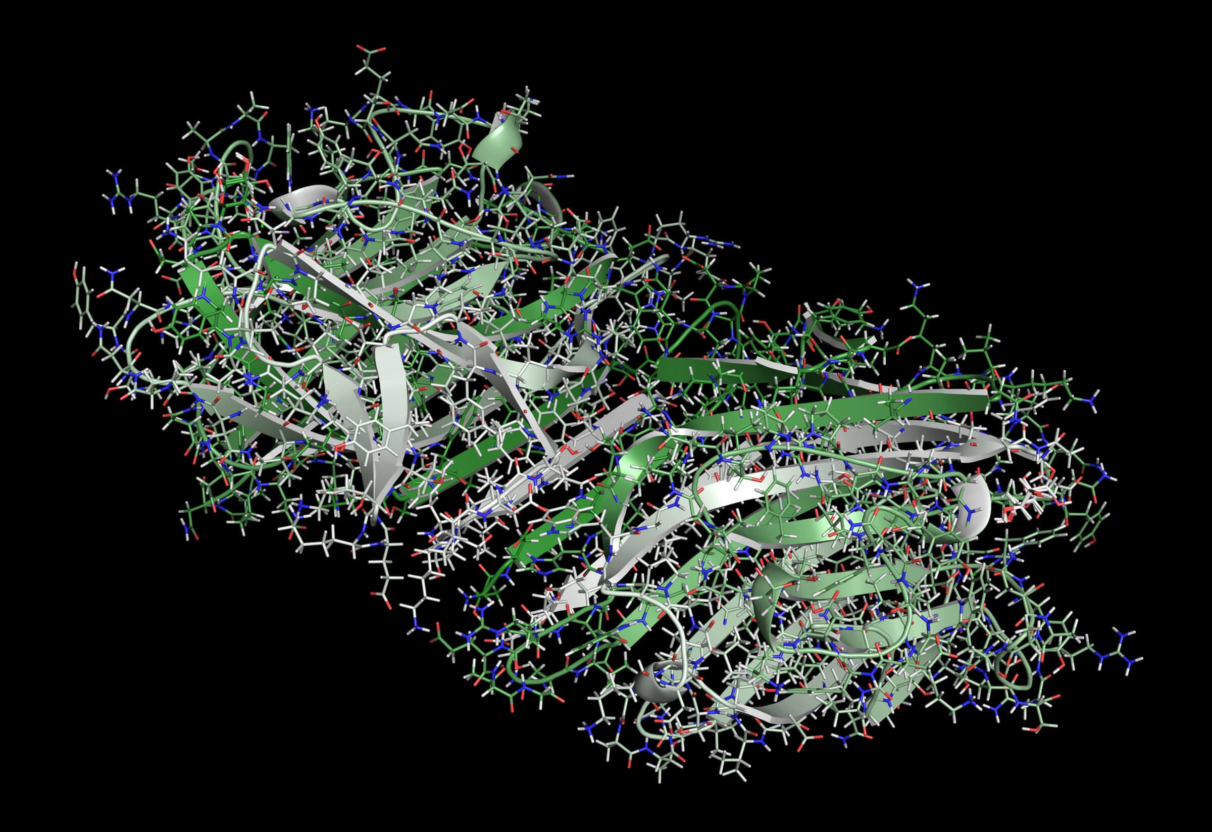 antinutrients - pea lectin protein