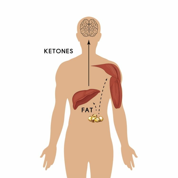 What does keto mean?