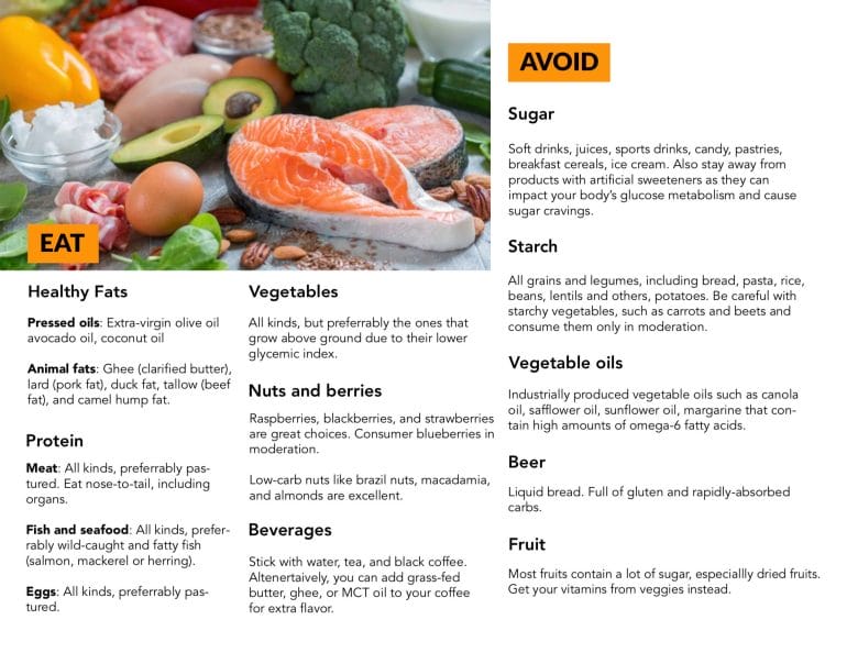 Paleolithic Ketogenic Diet Ultimate Beginner S Guide Paleolithic Ketogenic Diet Ultimate Beginner S Guide