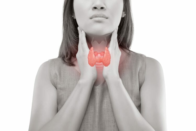 Keto doesn't impact your thyroid gland