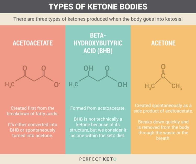 Types of Ketone Bodies