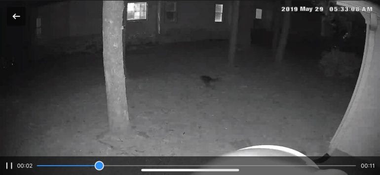 eufyCam Night Vision