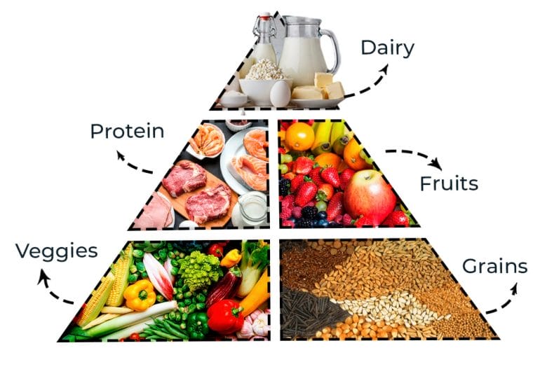 How the government says you should eat