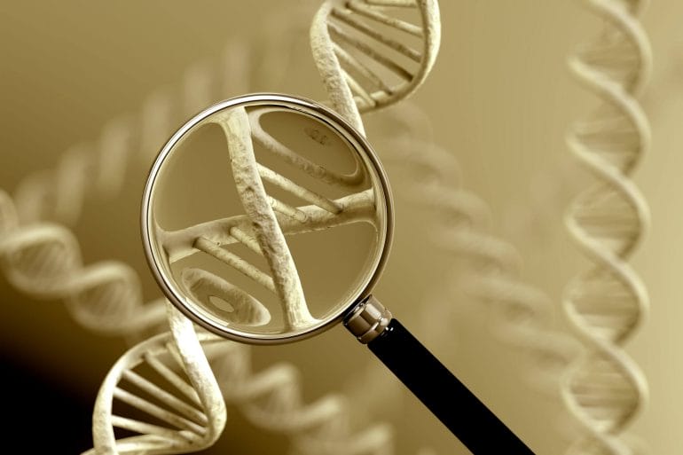 A magnifying glass focussing on a section of a DNA strand