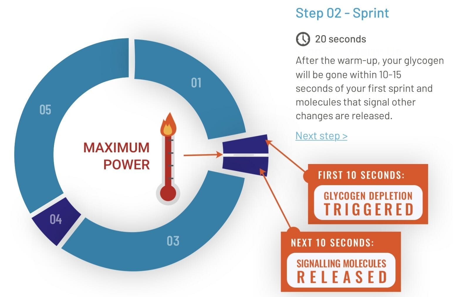 Example of a CAROL REHIT workout 1