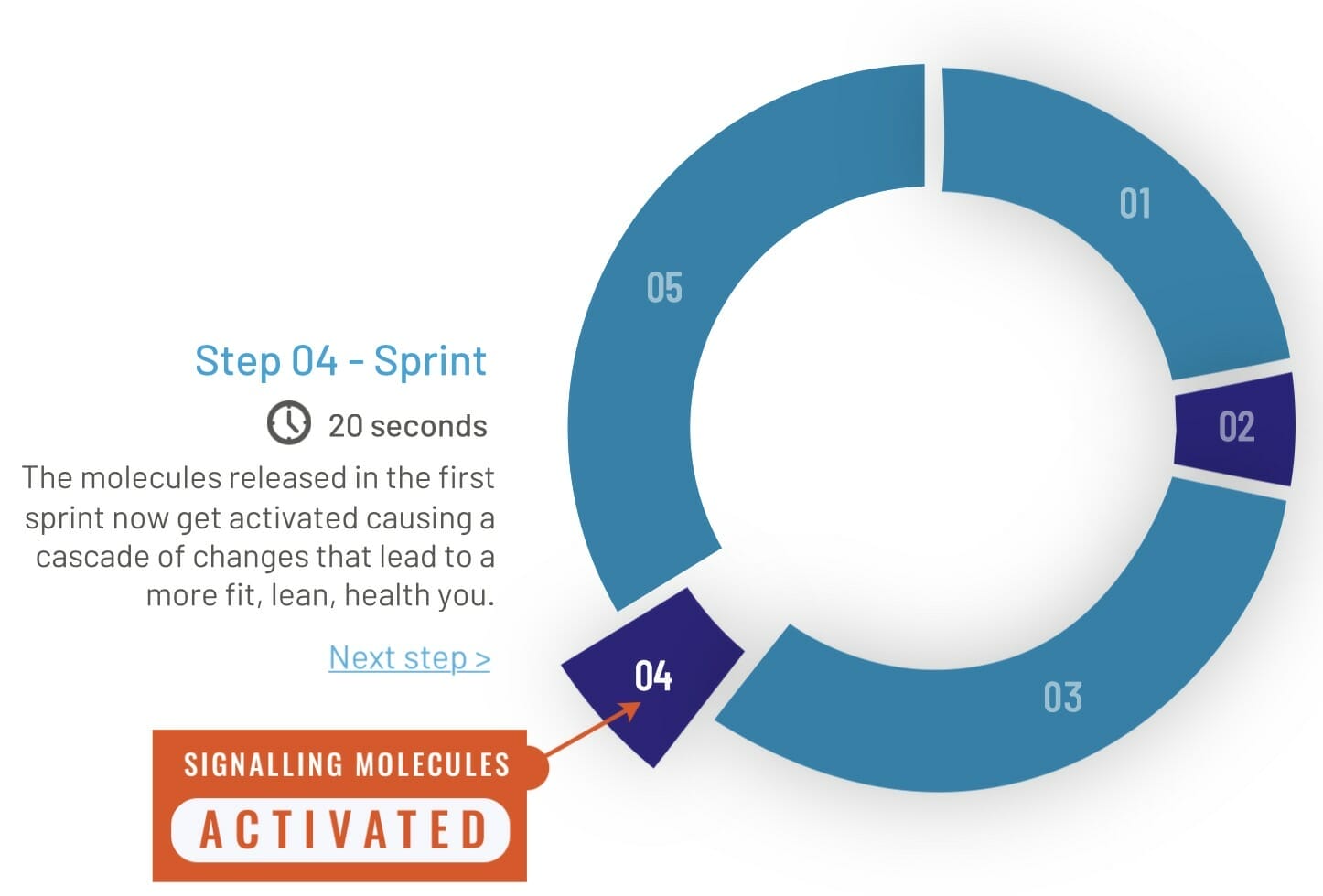 Example of a CAROL REHIT workout 2