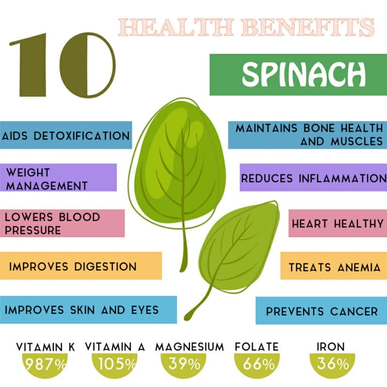 https://cdn.michaelkummer.com/wp-content/uploads/2019/09/Health-Benefits-of-Spinach.jpg?strip=all&lossy=1&resize=770%2C770&ssl=1