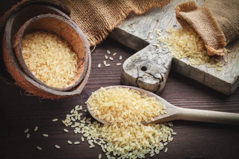 Best Rice Protein Powder