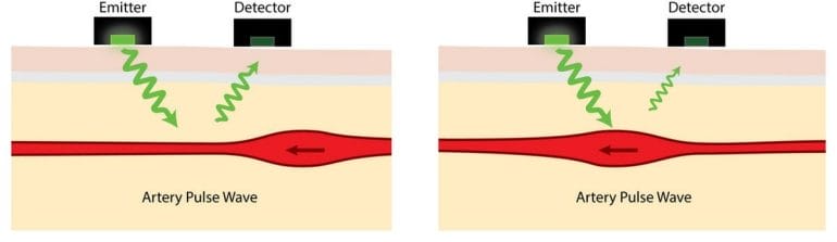 How optical heart rate sensors work