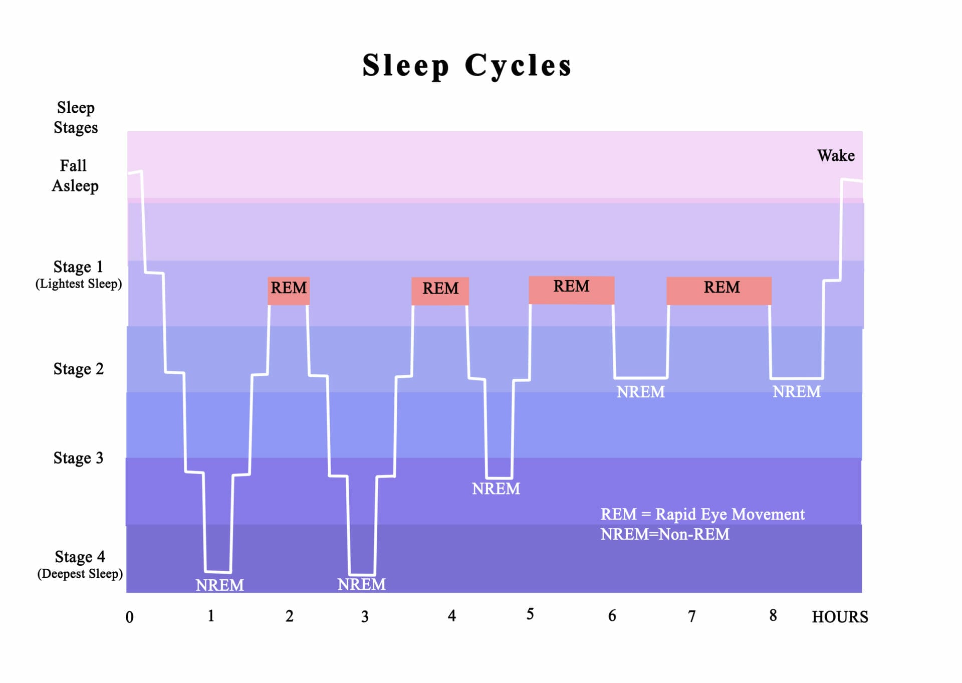 Sleep cycles