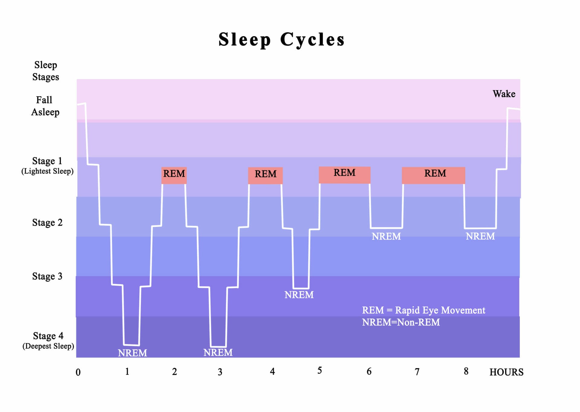 Sleep cycles