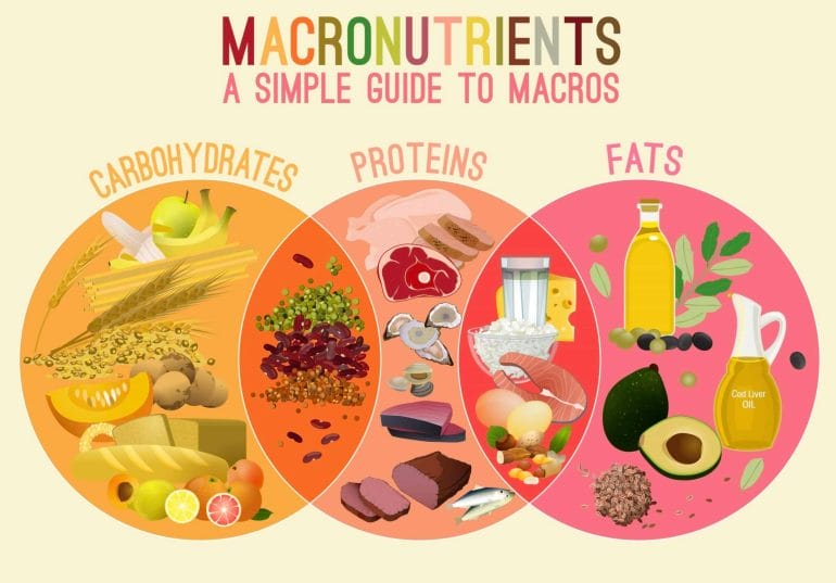Only two of the three macronutrients are essential