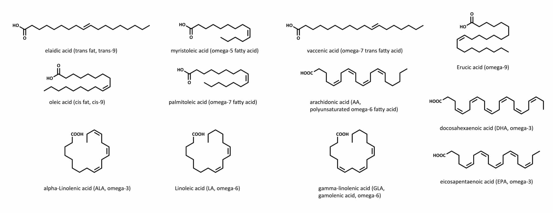 Overview of unsaturated fatty acids