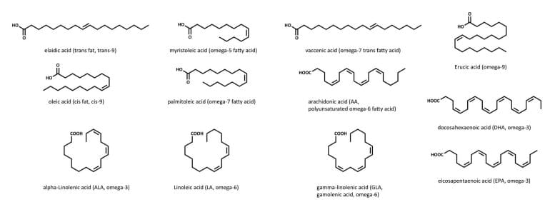 Overview of unsaturated fatty acids