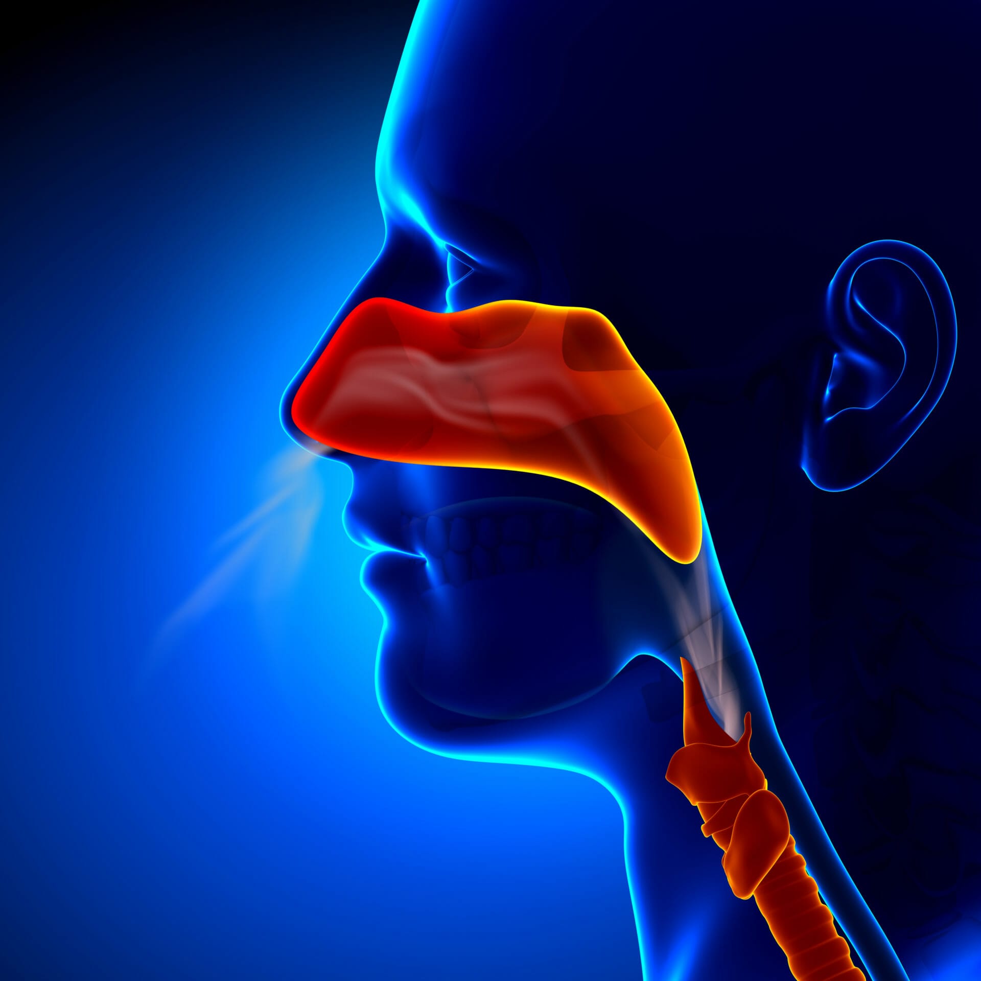 Nose Breathing And Why You Should Stop Breathing Through Your Mouth