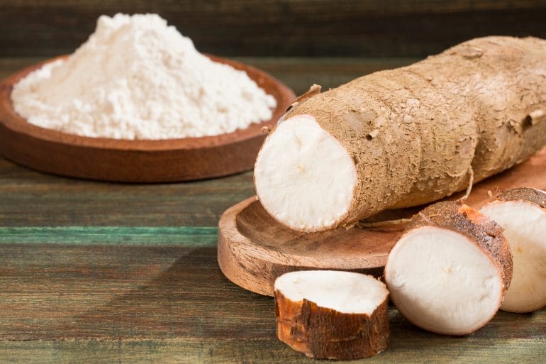 Tapioca is also known as yuca or cassava