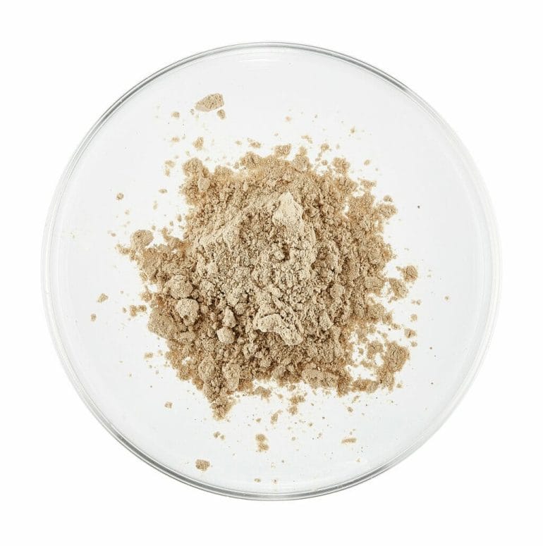 ProHydrolase™