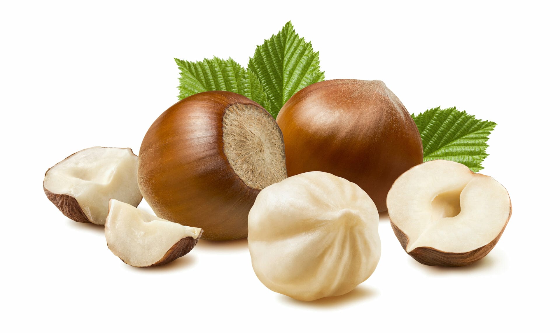 Hazelnuts