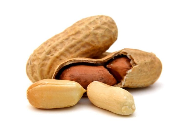 Peanuts are legumes and are covered in toxic mold.