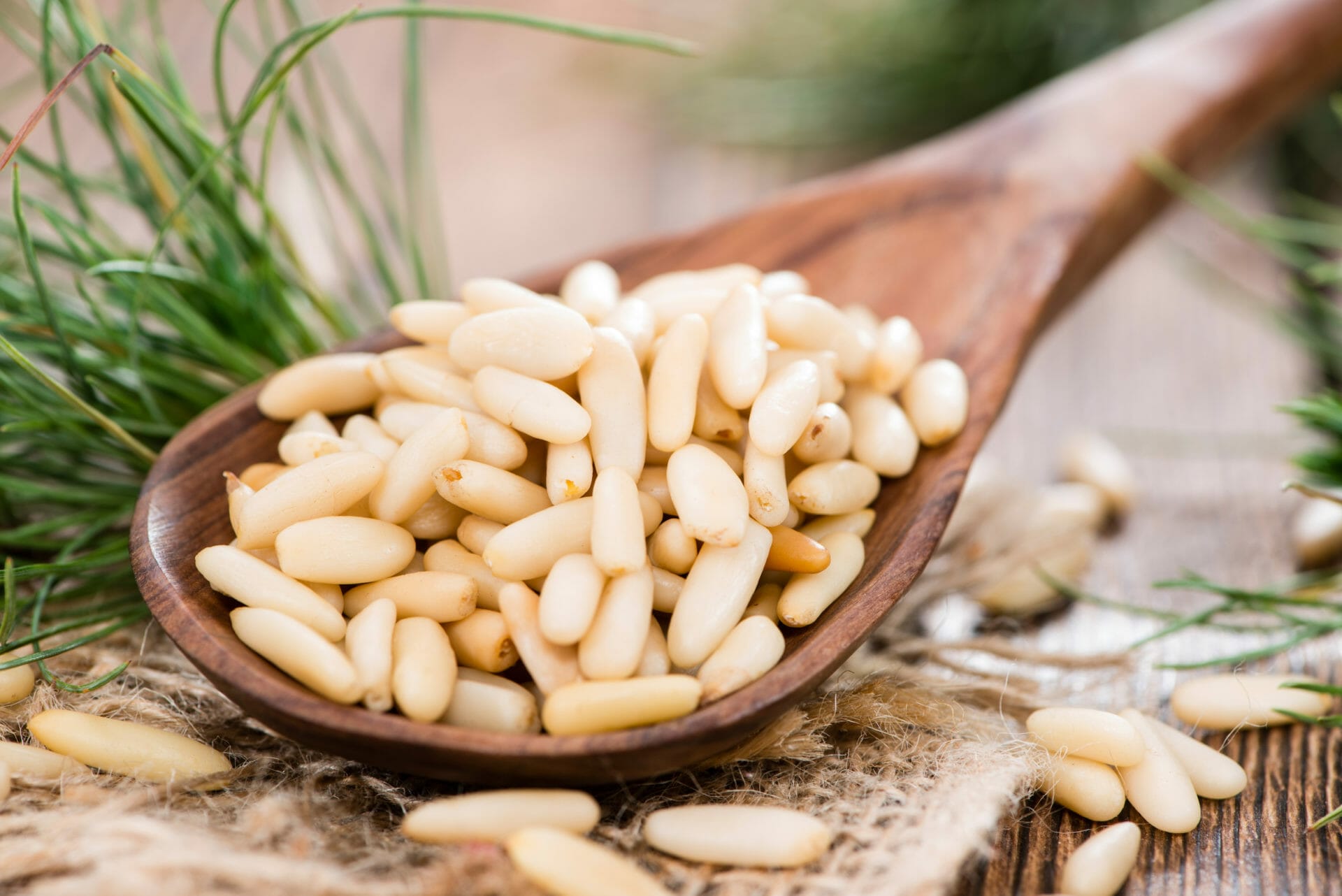 Pine nuts on a wooden spoon