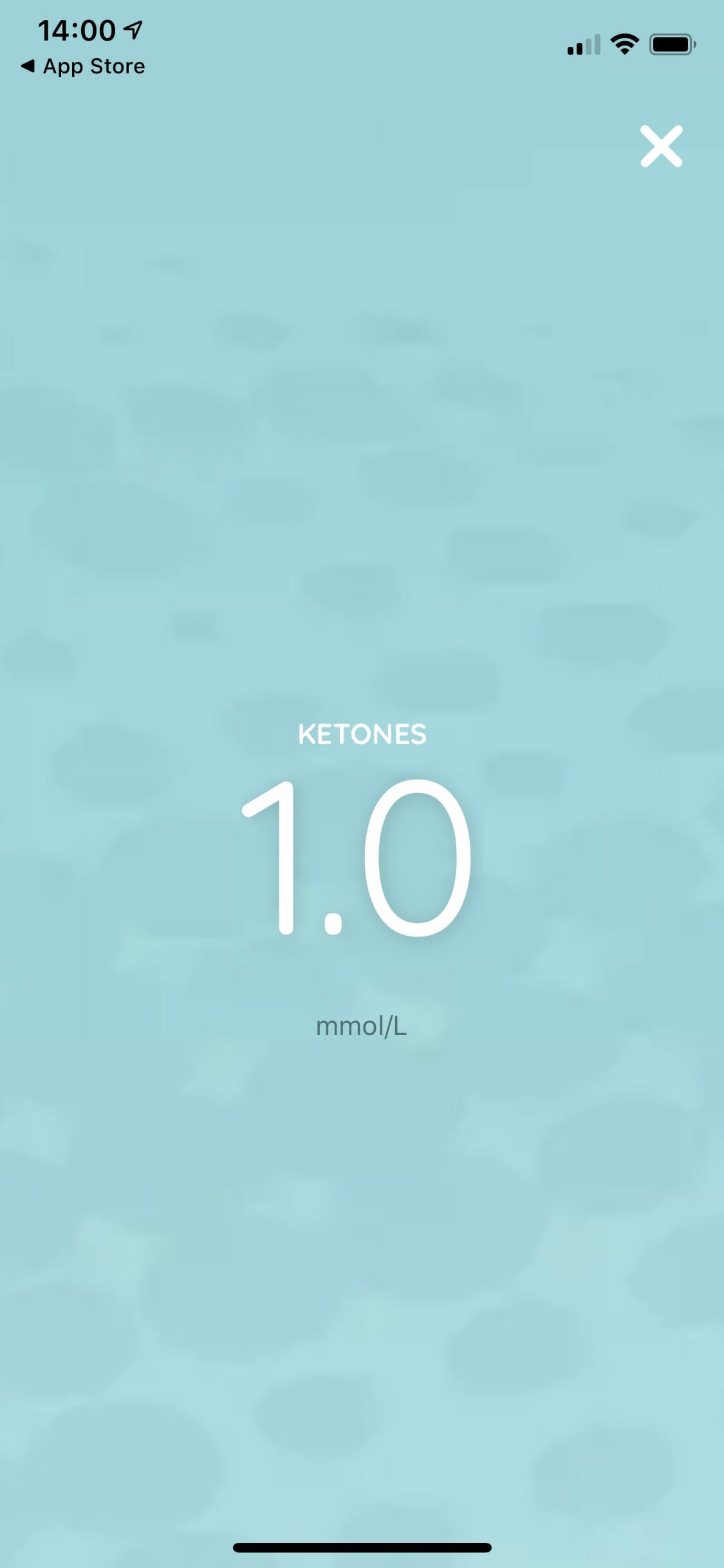 My blood ketone levels before starting the test.