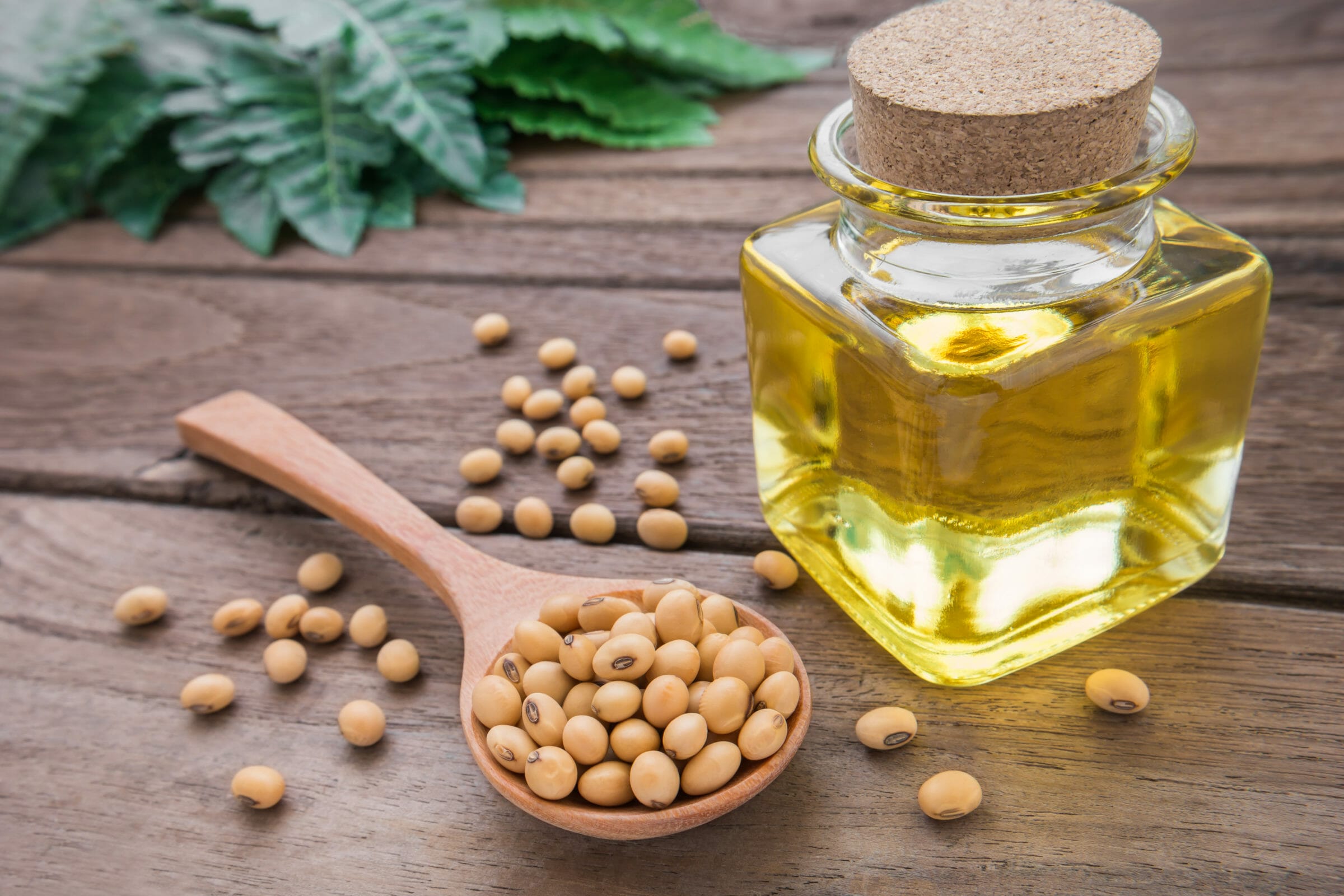 Soybean oil and soybeans are highly inflammatory.