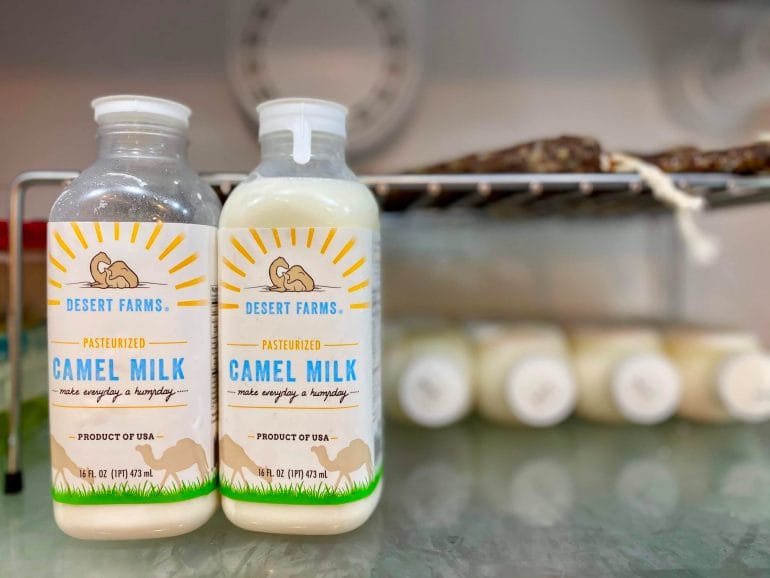 Camel milk and the ketogenic diet