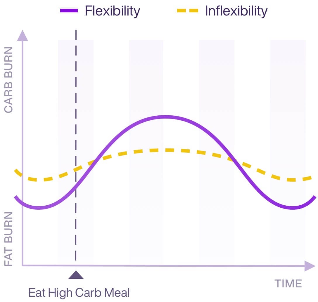 Lumen - Metabolic flexibility
