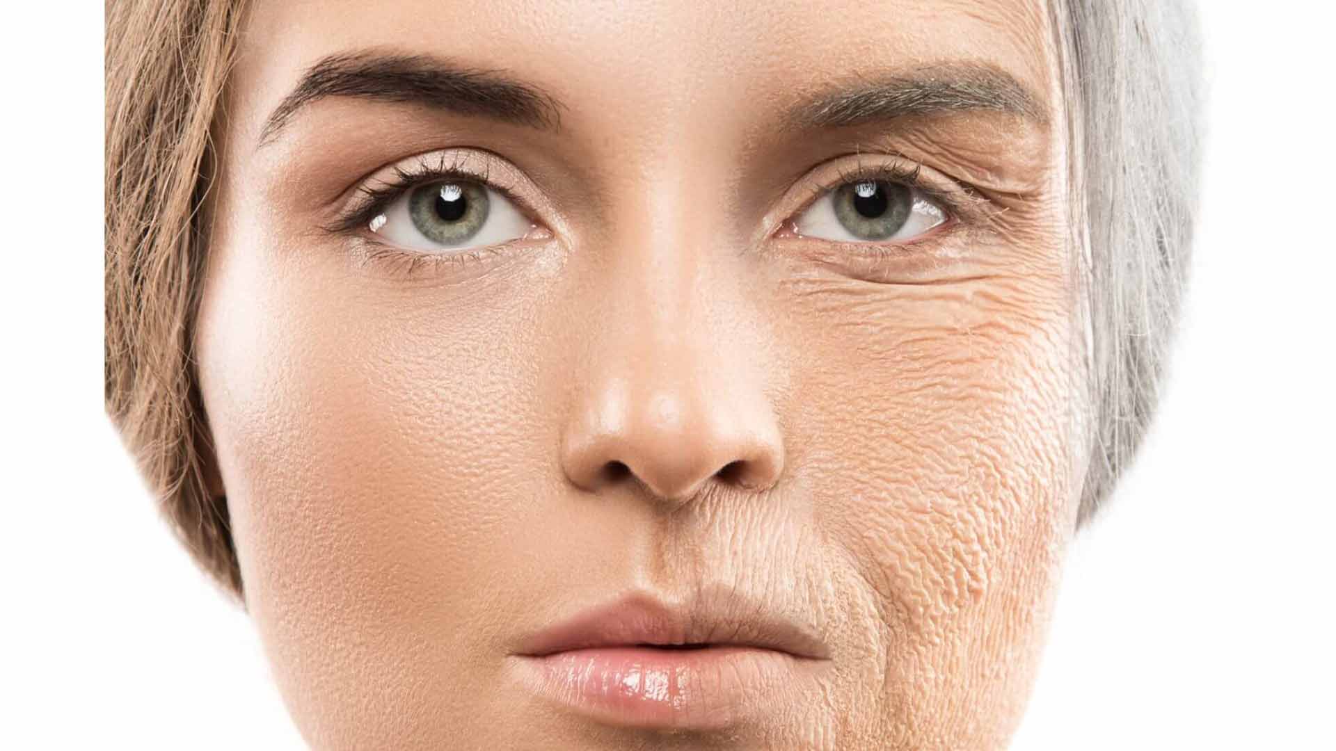 How to Slow Down and Reverse Aging