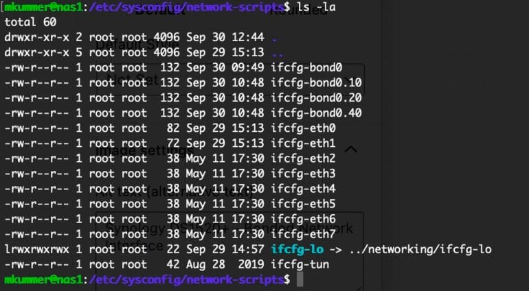 Synology DS1520+ - Multiple VLANs